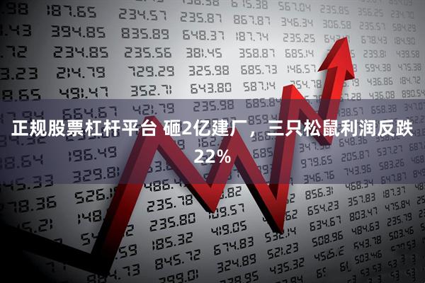 正规股票杠杆平台 砸2亿建厂，三只松鼠利润反跌22%