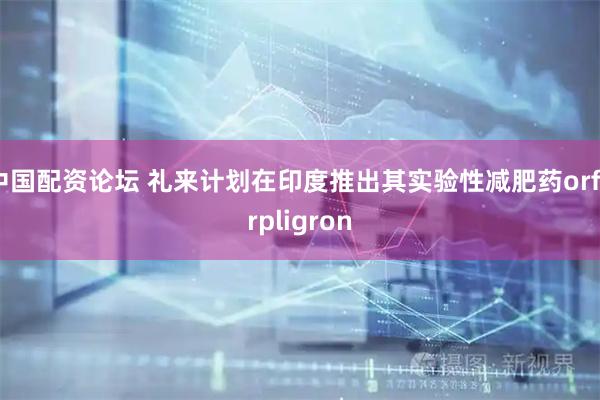 中国配资论坛 礼来计划在印度推出其实验性减肥药orforpligron